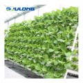 NFT Hydroponic Channel Hydroponic Greenhouse Equipment